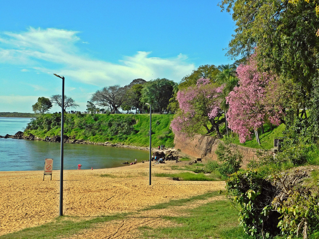 DSCN0366.jpg