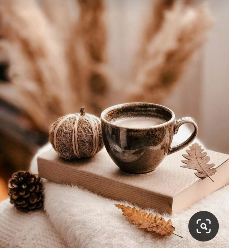 Screenshot_20230830_225728_Pinterest