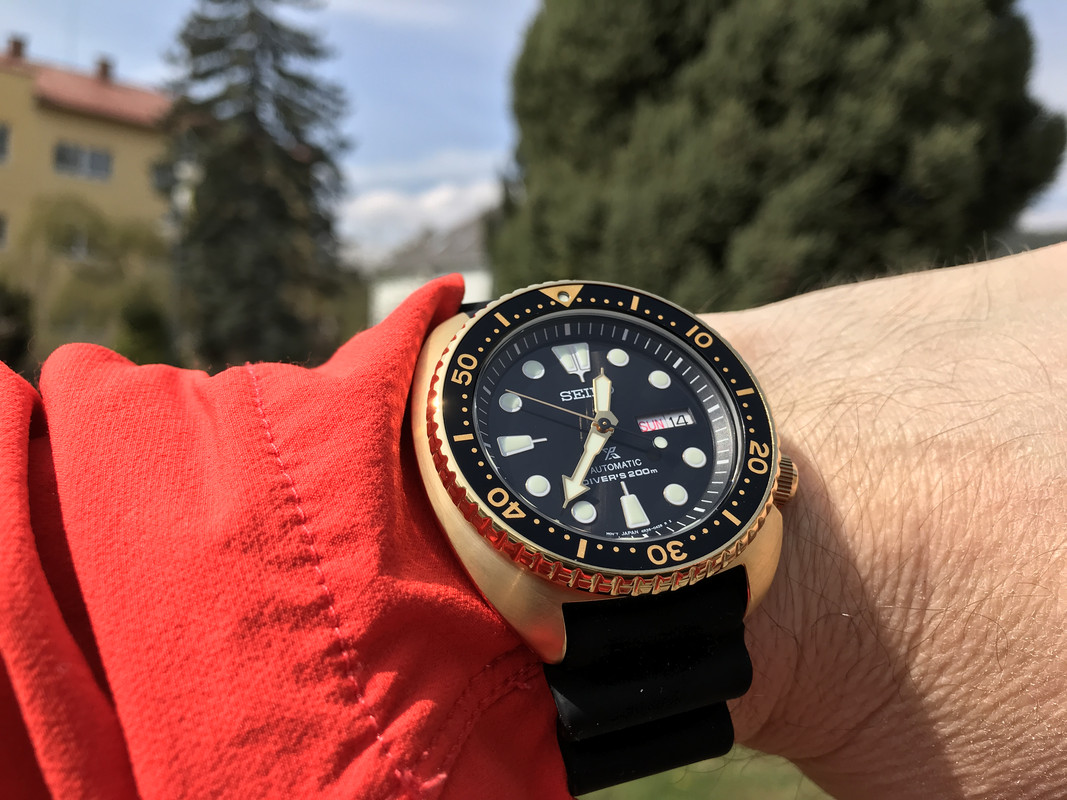 5-BEDCA0-A-83-A8-4-B7-D-BDEE-093-CB10-A5