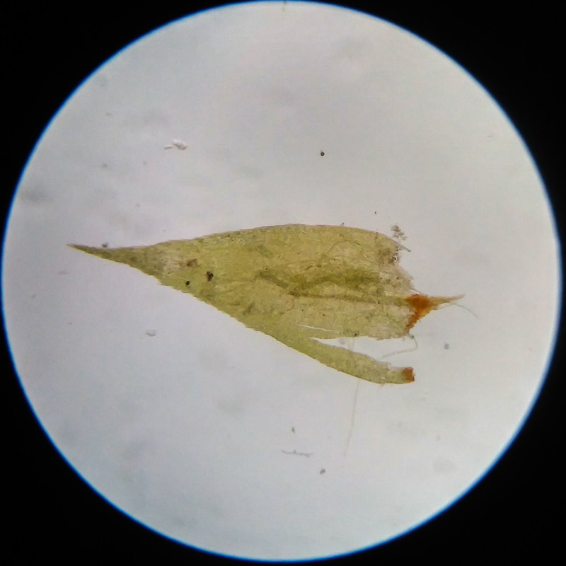 IMG 20250617 111847 HDR