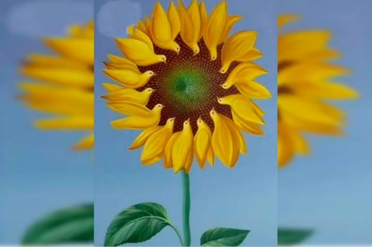 Test visual: Lo que observes en esta imagen indicará si estas triste