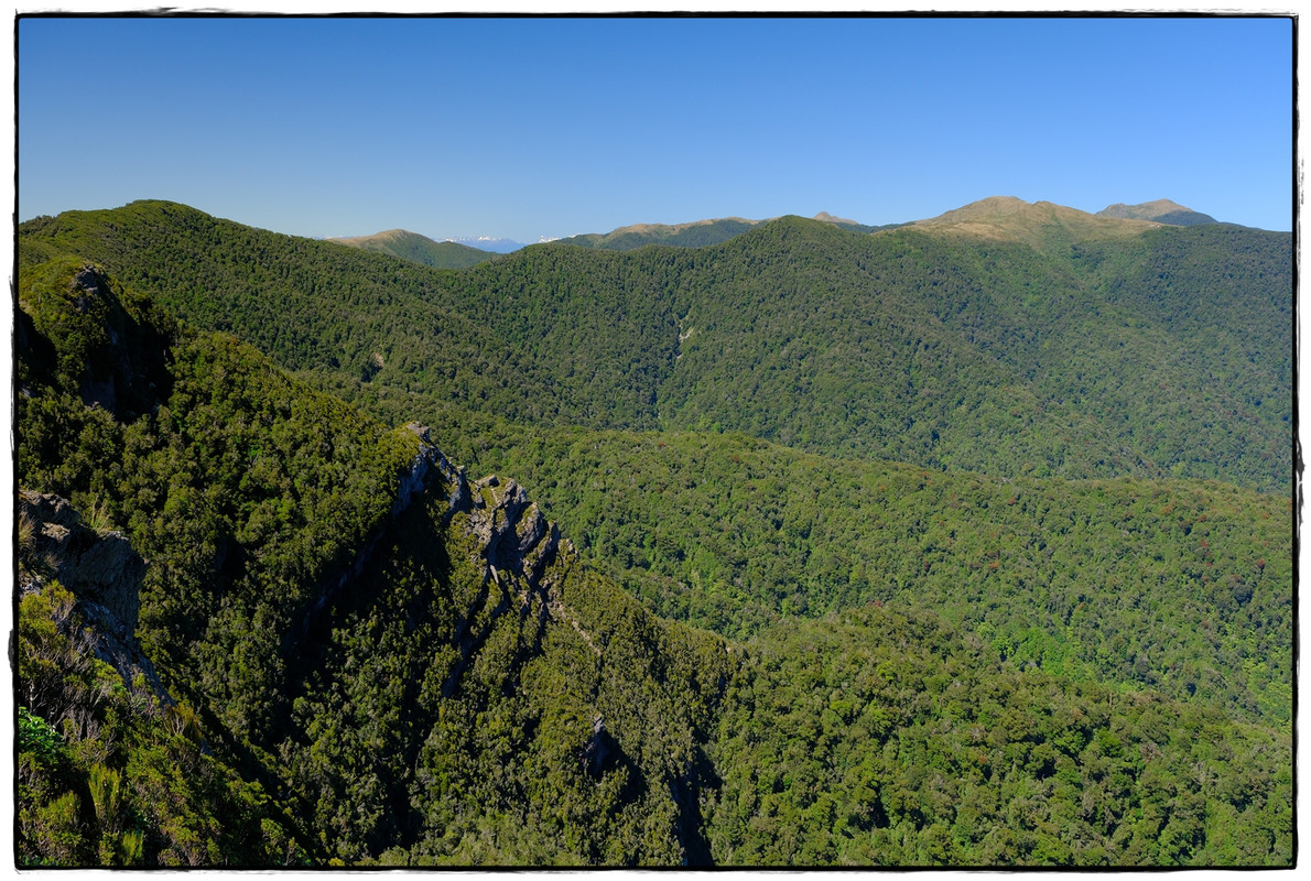 Paparoa NP: Paparoa Track (diciembre 2024) - Escapadas y rutas por la Nueva Zelanda menos conocida (28)