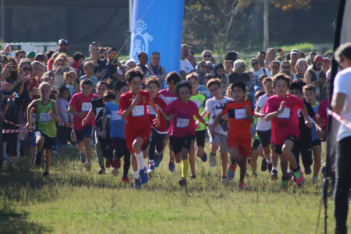 IMG-4228