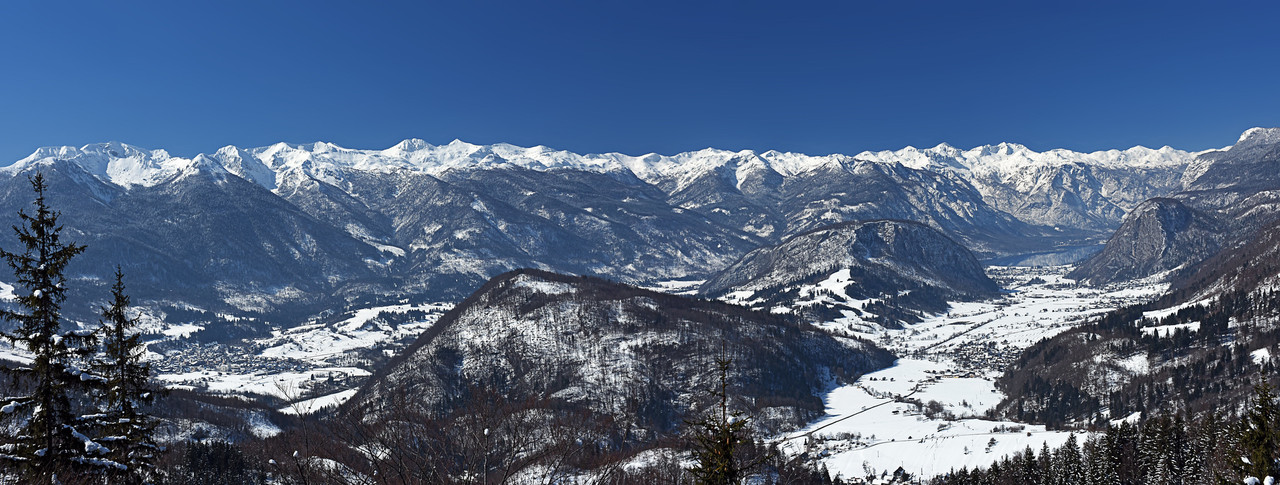 26094327437-4126f06224-k.jpg