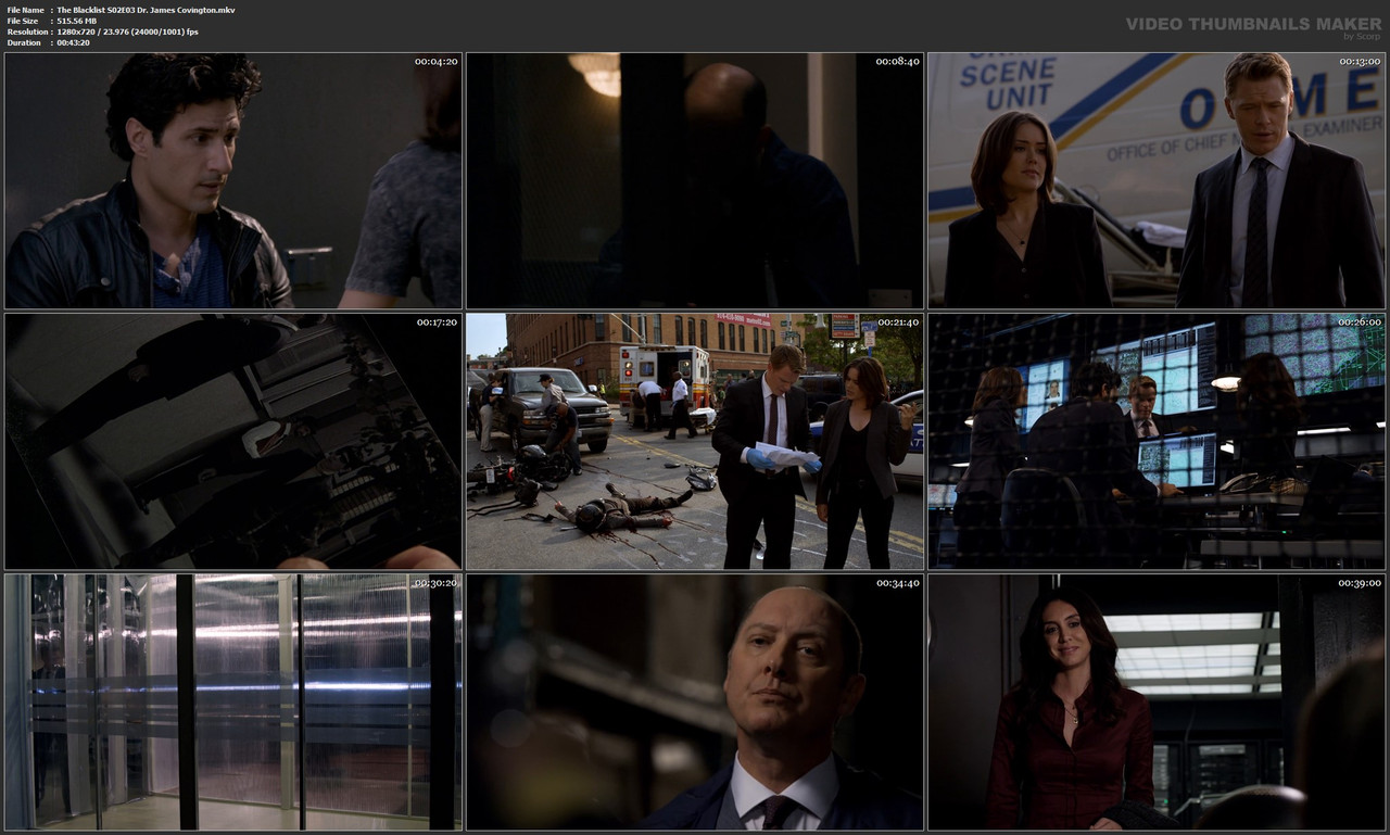 The Blacklist S02E03 Dr. James Covington.mkv
