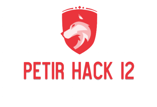 petir hack 12 image