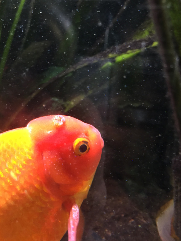 1E8AE72A-1535-4236-8E1B-9CACCF9954BE