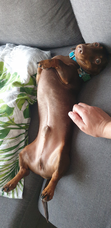 [Image: 20200622-211754.jpg]