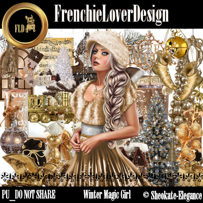 fld_winter_magic_girl