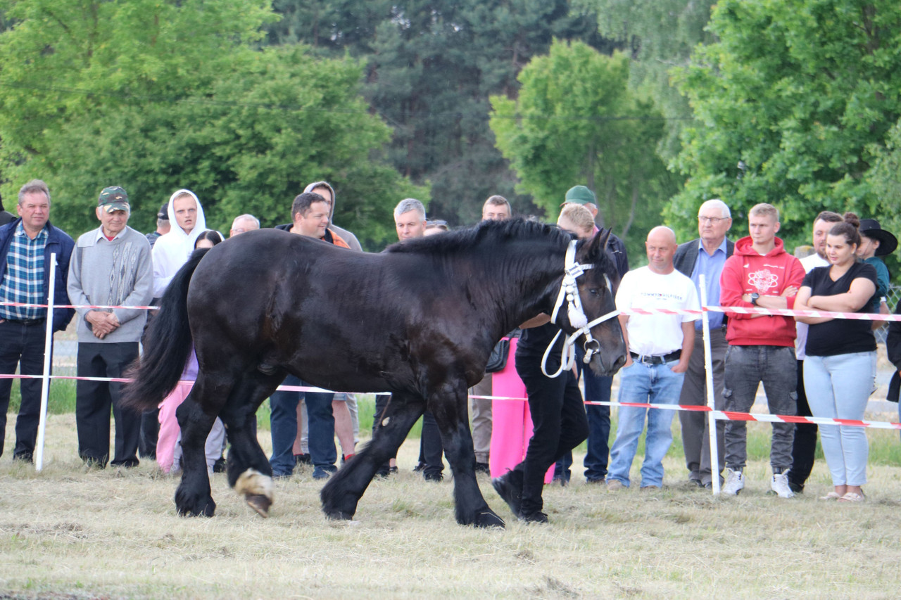 IMG 7367 wynik