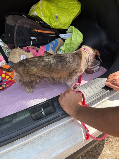 [Image: IMG-0526.jpg]