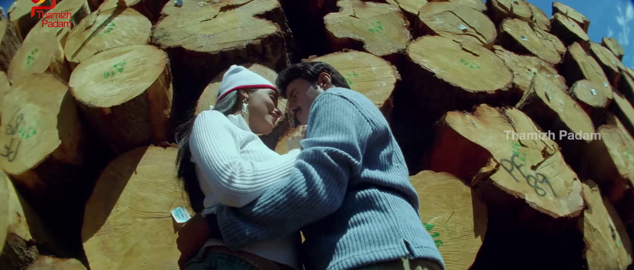 vlcsnap-2025-09-30-17h40m04s932