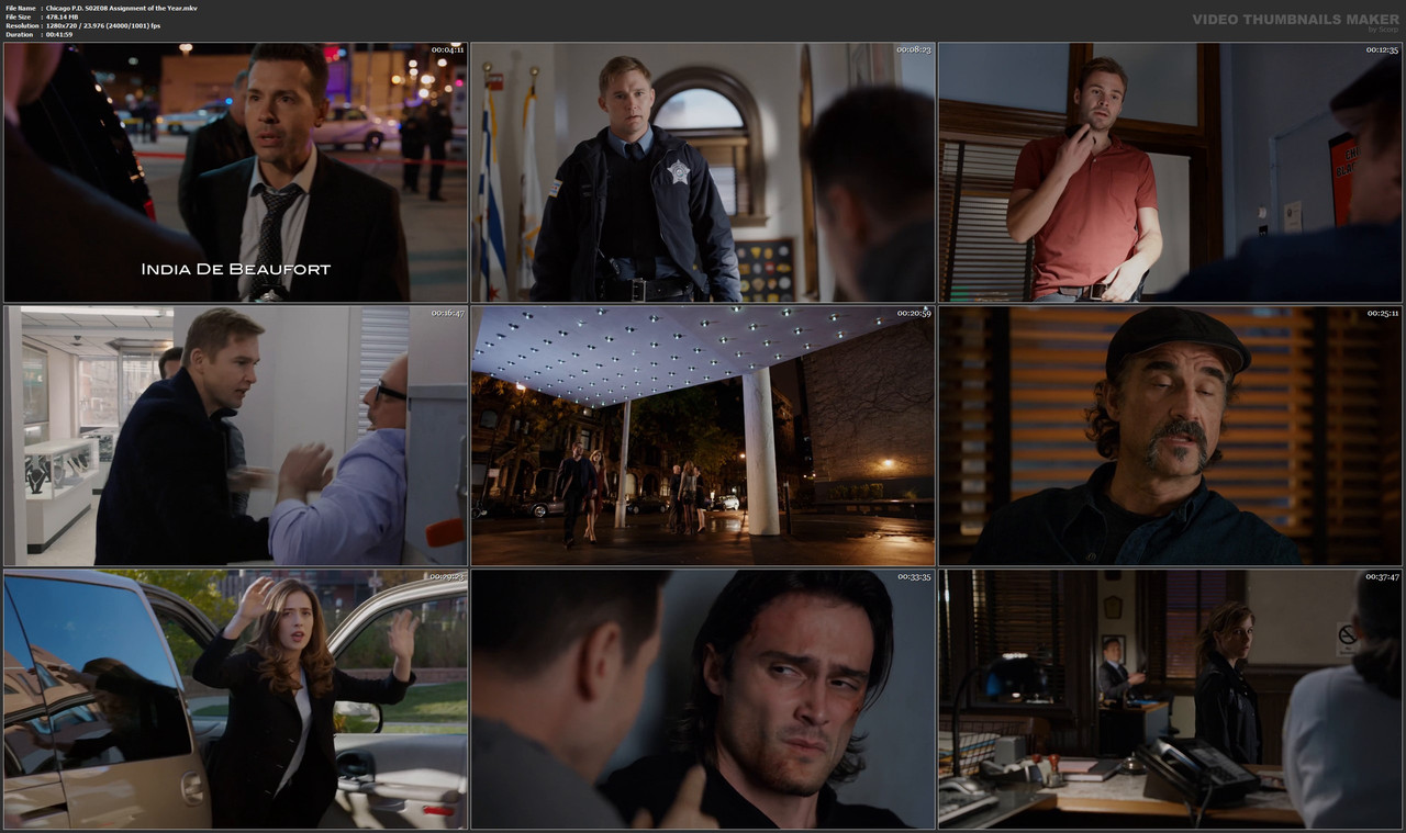 Chicago P.D. S02E08 Assignment of the Year.mkv