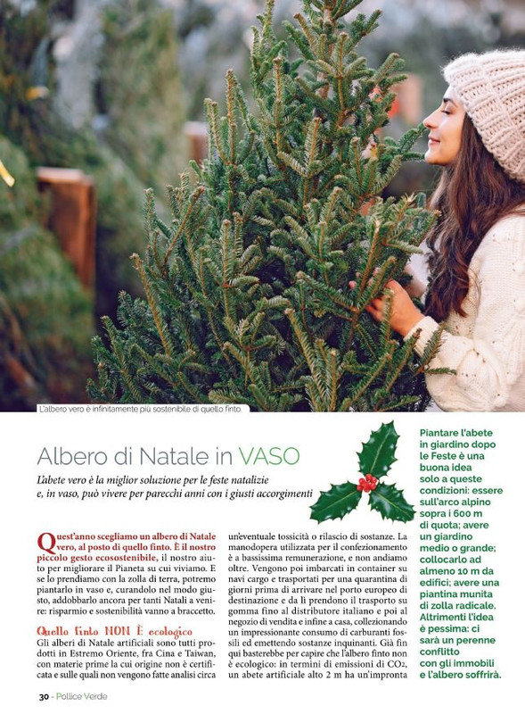 Pol Ver Nov-Dic 2022 (3)