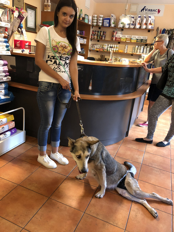 CC6B867F-FBF8-44CB-BAC8-2ACE1B359DBB