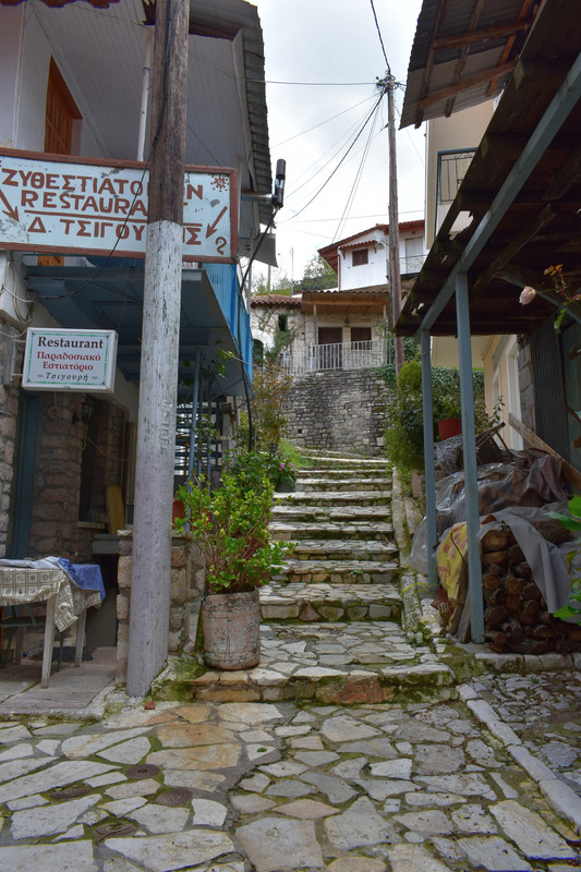 Ανδρίτσαινα