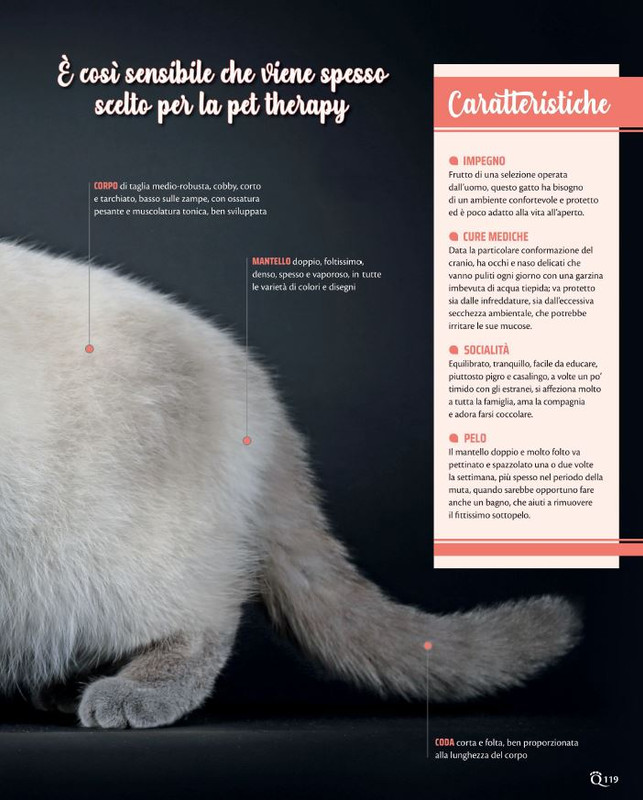 QuattroZampe Ott 2021 (12)