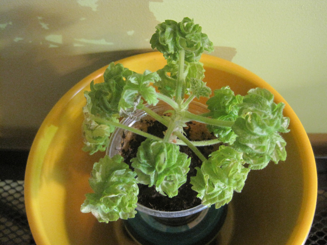 29 ноября 2022 г