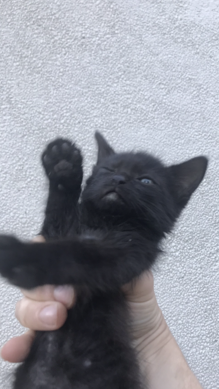 D93BCD87-2905-4B06-8CD5-59BDFDA1FEAB