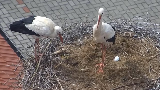 Przechwytywanie w trybie pełnoekranowym 06.04.2025 224216