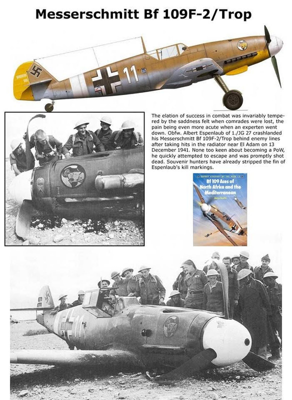 Souvenir Hunters: 1/32 BF-109F Desert Crash Diorama-N. Africa 1942