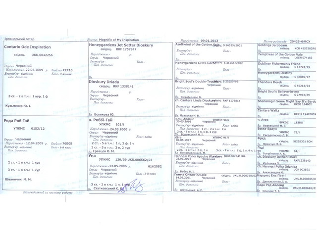 родословная Макса ФОСУ