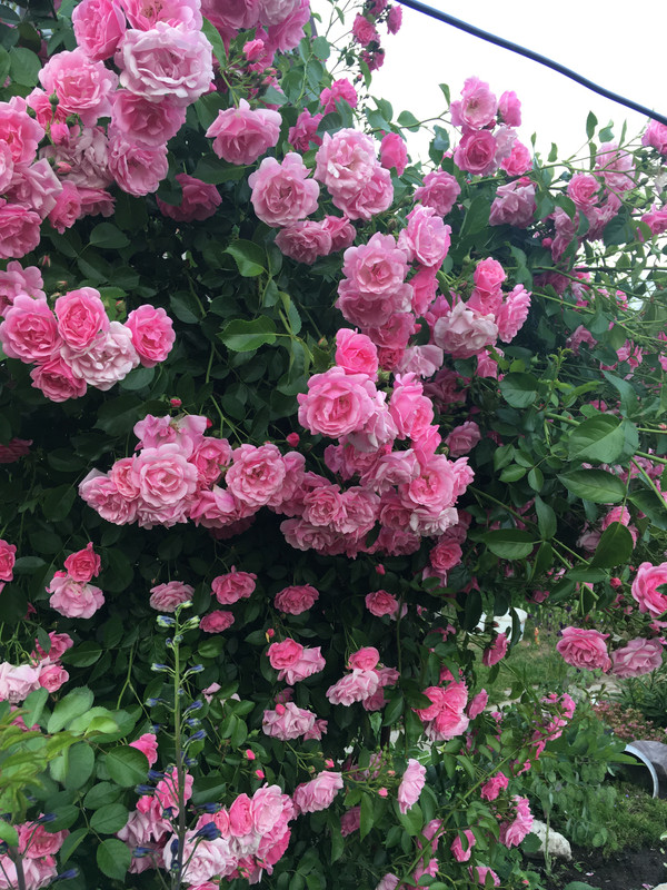 41F88CF1-31A3-4C21-9721-9C69D98F55B3