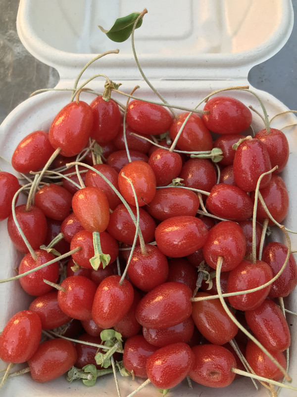 04C126BA-B686-47E7-AD23-37EC4BF8CE63