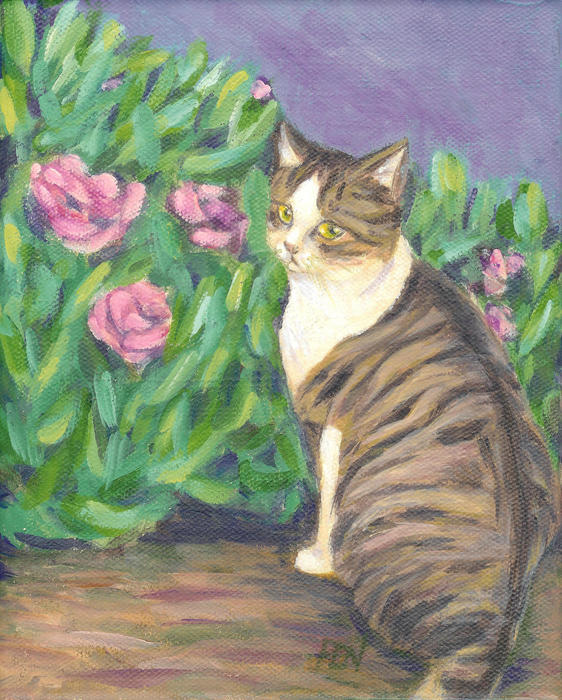 a-cat-at-a-garden-jingfen-hwu