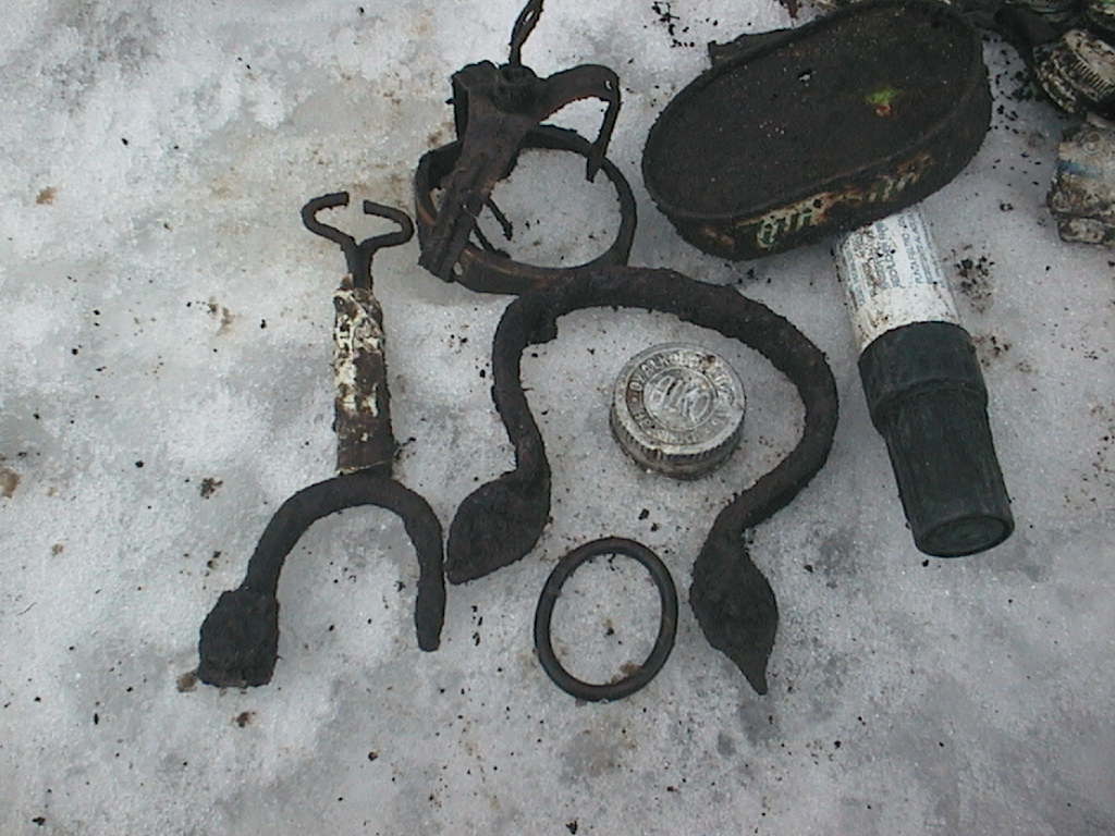 päivänlöytö28022016 pikkuhuopalahden puisto 034