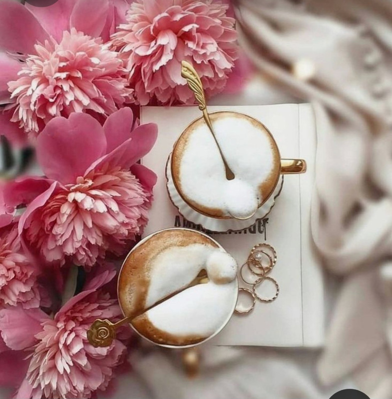 Screenshot_20230316_181314_Pinterest