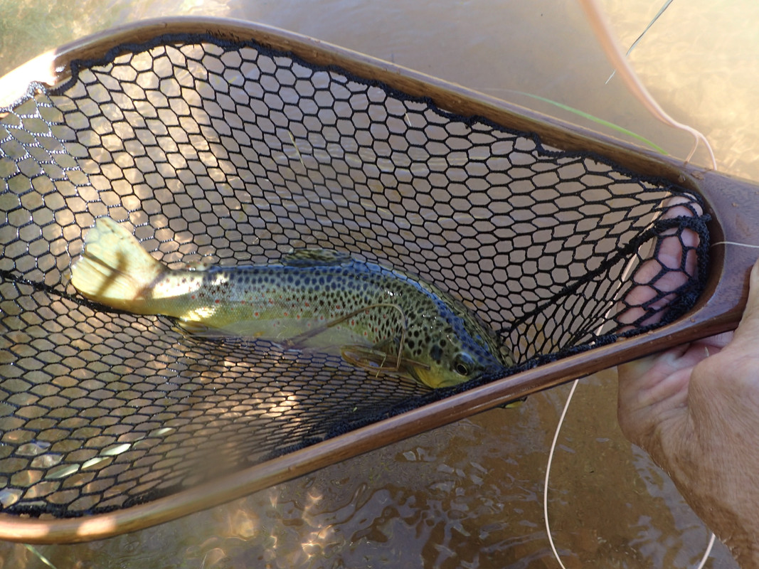 E85D978F-8D3C-438C-9BCC-708114D235D0