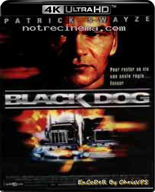 Czarny pies / Black Dog (1998) MULTI.SDR.UP.2160p.AI.BluRay.DTS.HD.MA.AC3-ChrisVPS / LEKTOR i NAPISY