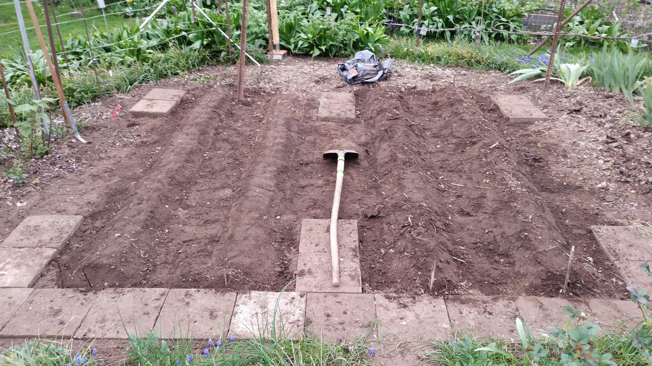 240408_Kartoffelbeete (Versuch) Dämme fertig