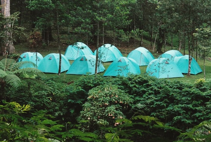 Baturraden Adventure Forest, rekomendasi tempat wisata di Banyumas, Jawa Tengah.