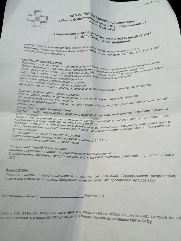 2EACF6B7-E48F-4508-B52D-102FD94B2ACF