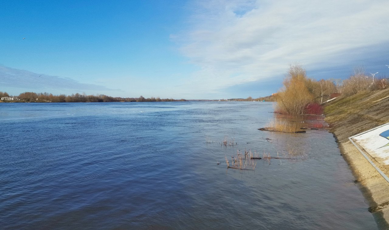 IMG_20230331_165021 поводок в районе комсомольской набережной