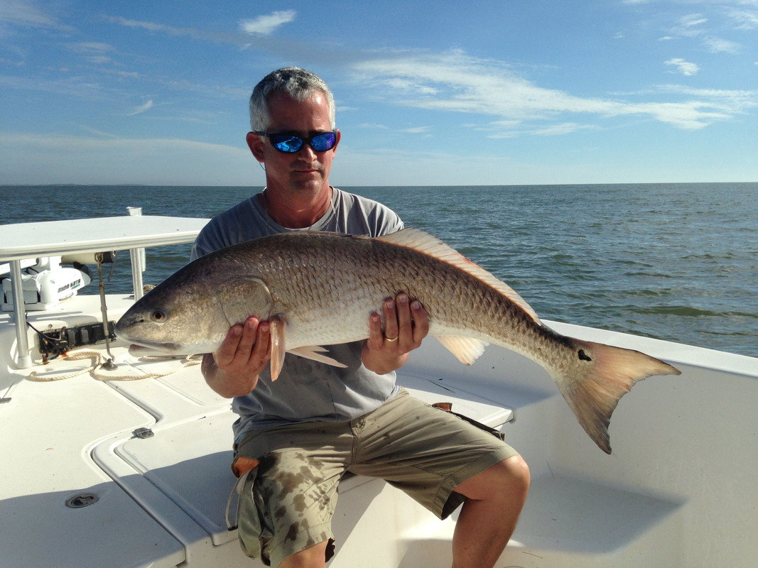 B9559C76-4DF4-44D2-9D55-7B72B8B9F858