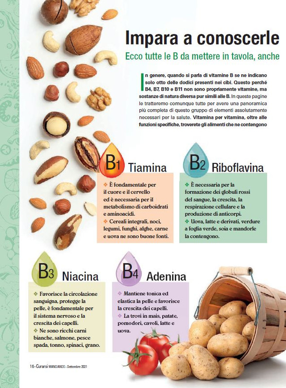 Cur Mang Set 2021 (3)