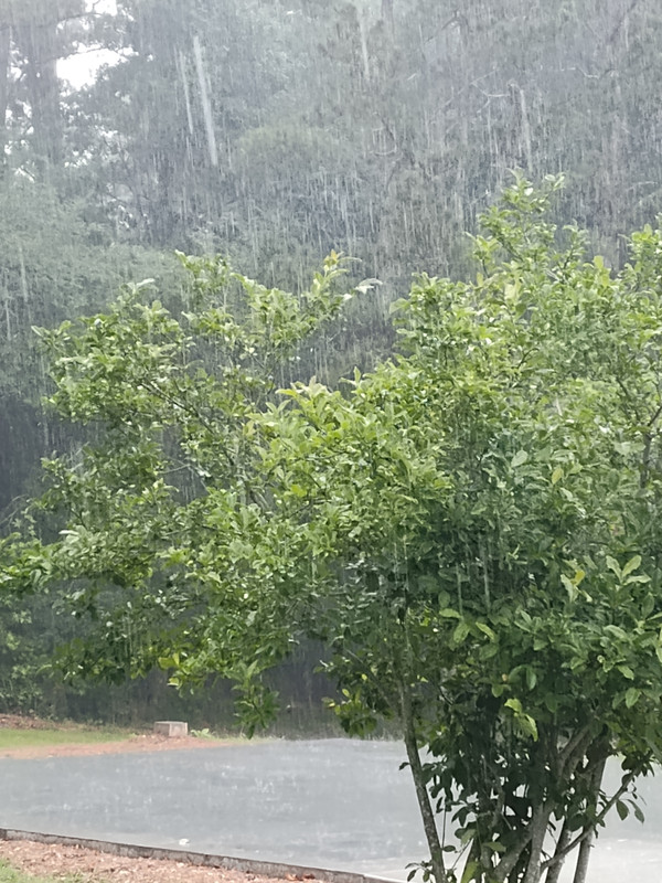 IMG_20250530_141528500