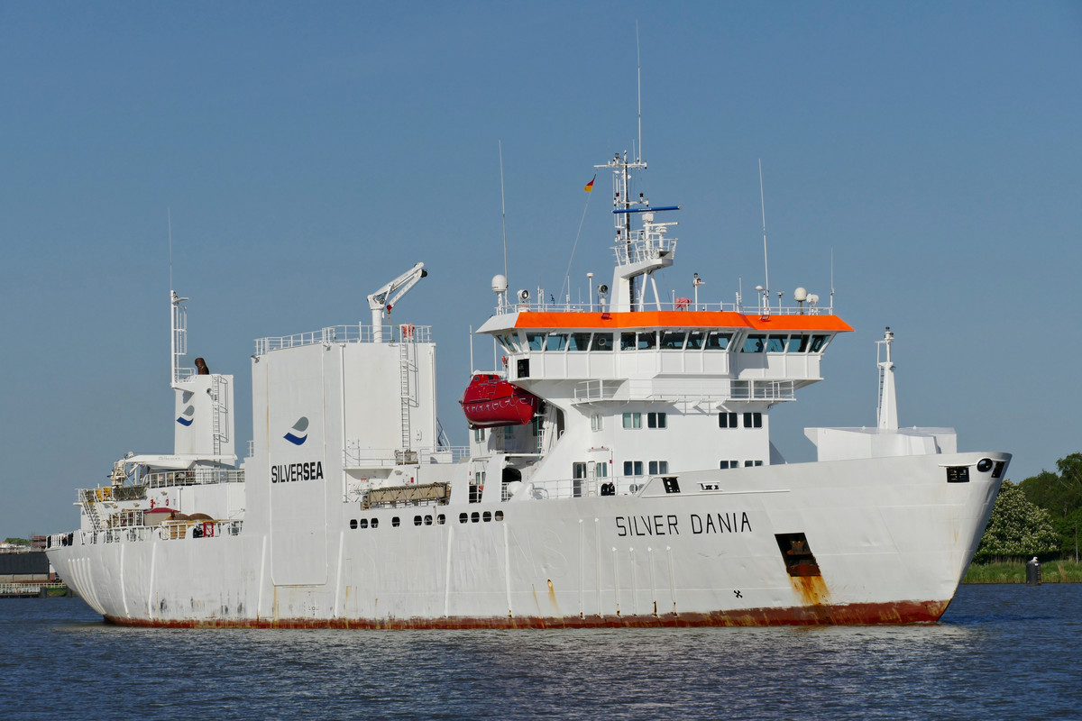 Silver Dania (OK-200523-0)