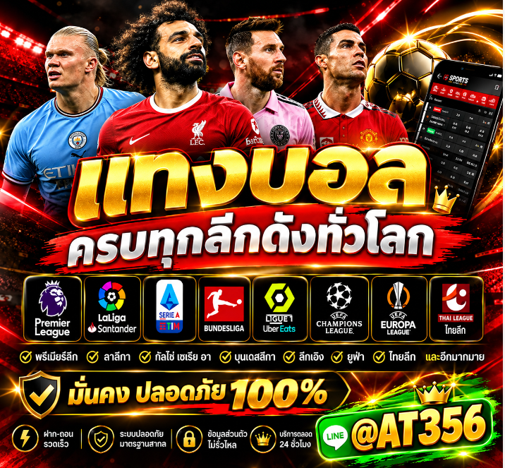 49e8b9-82cb41b0a0ae495a8b5234bf965b408d-mv2