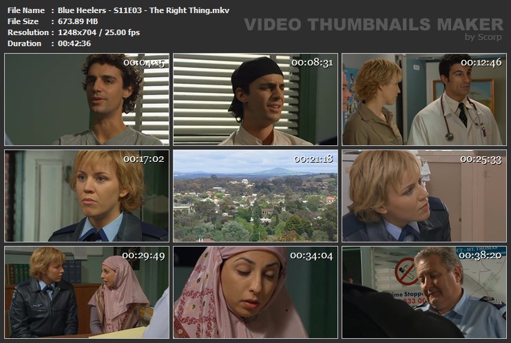 Blue Heelers - S11E03 - The Right Thing.mkv