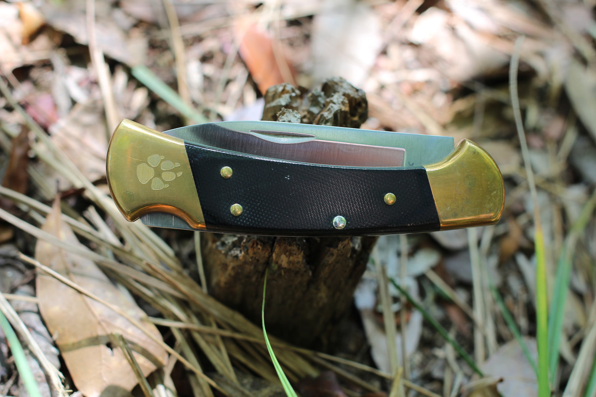 101BF9B3-F483-49ED-B4CE-A31CA5104B1B