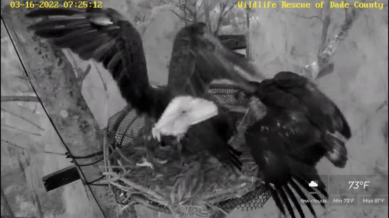 F71E844A-D3D3-4BC6-A5B5-6EA383D2EB49