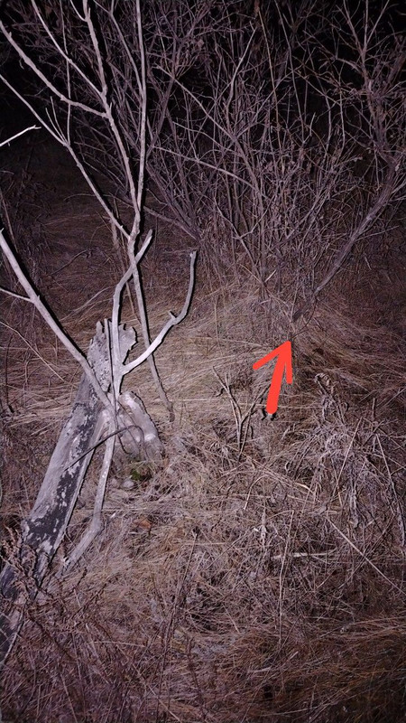 IMG 20251115 200217 877