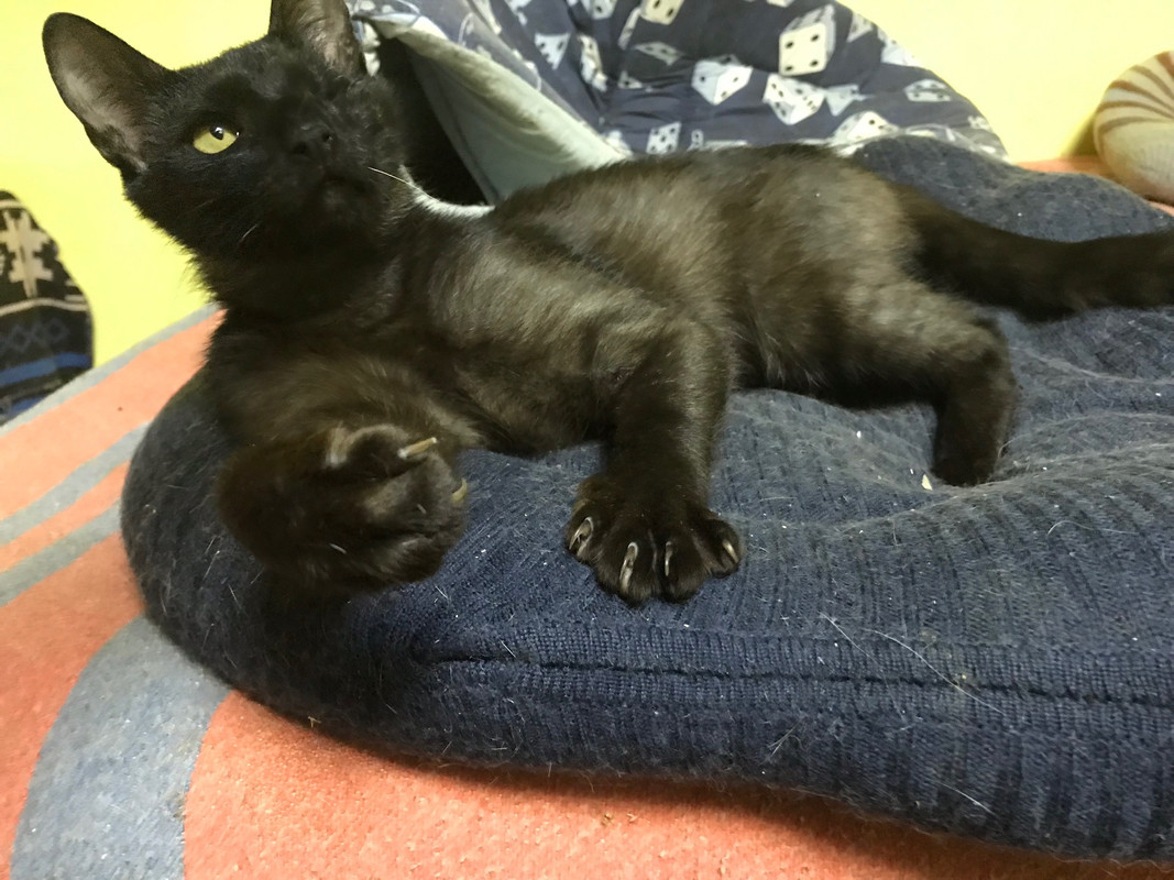 94E33DB0-37F0-4191-962F-3240F63B9B8D