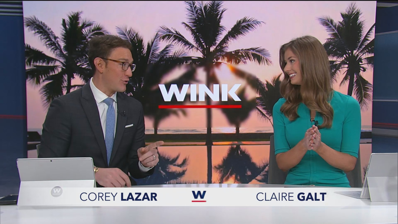 WINK News at 600am_20250227_11001130.ts_snapshot_01.08.639