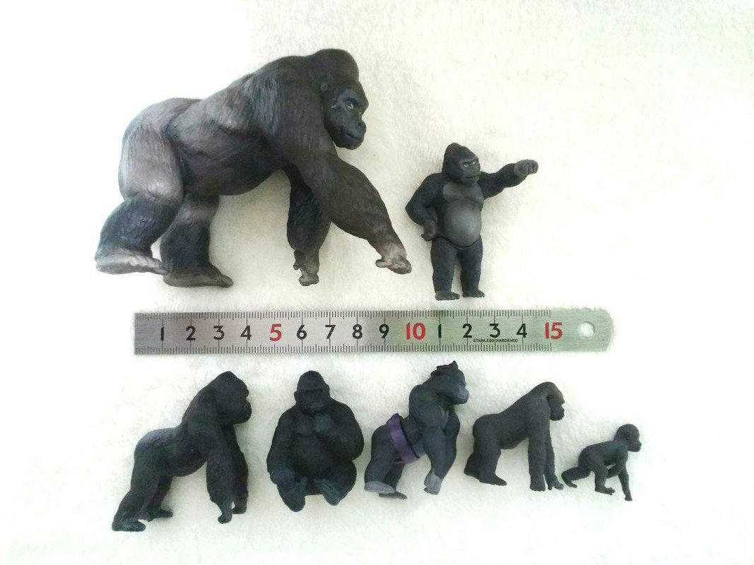 Eikoh - bigger models, Animal Infinity part 1 28