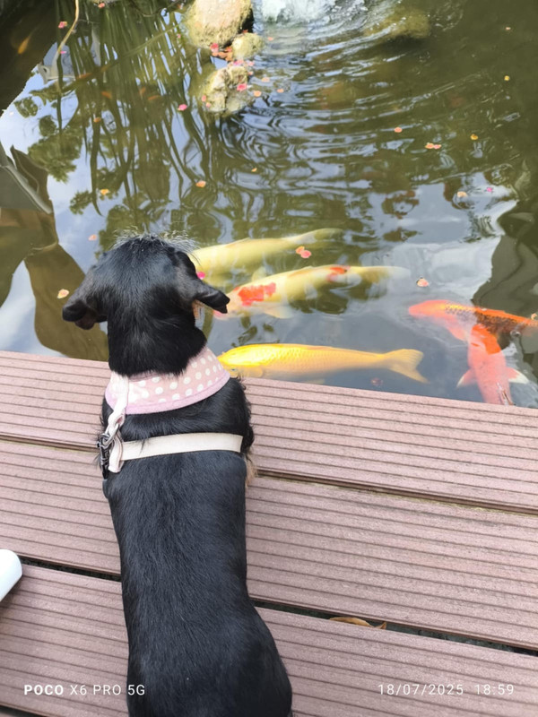 [Image: IMG-20250724-WA0002.jpg]